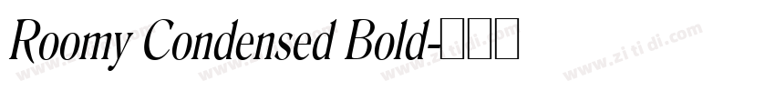 Roomy Condensed Bold字体转换 Roomy Condensed Bold字体转换
